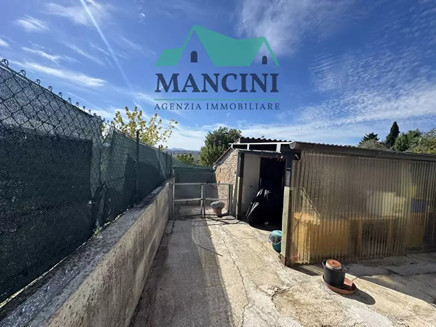 Immagine 31 di Casa indipendente in vendita  in Santa lucia a Monte San Vito