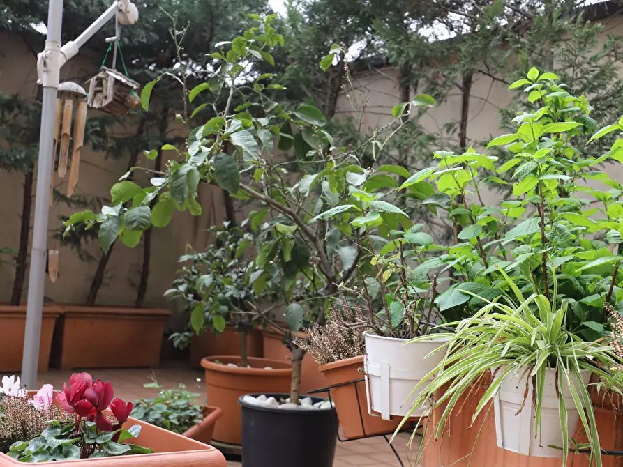 Immagine 13 di Appartamento in affitto  in V. Paolo Giovio 45 a Milano