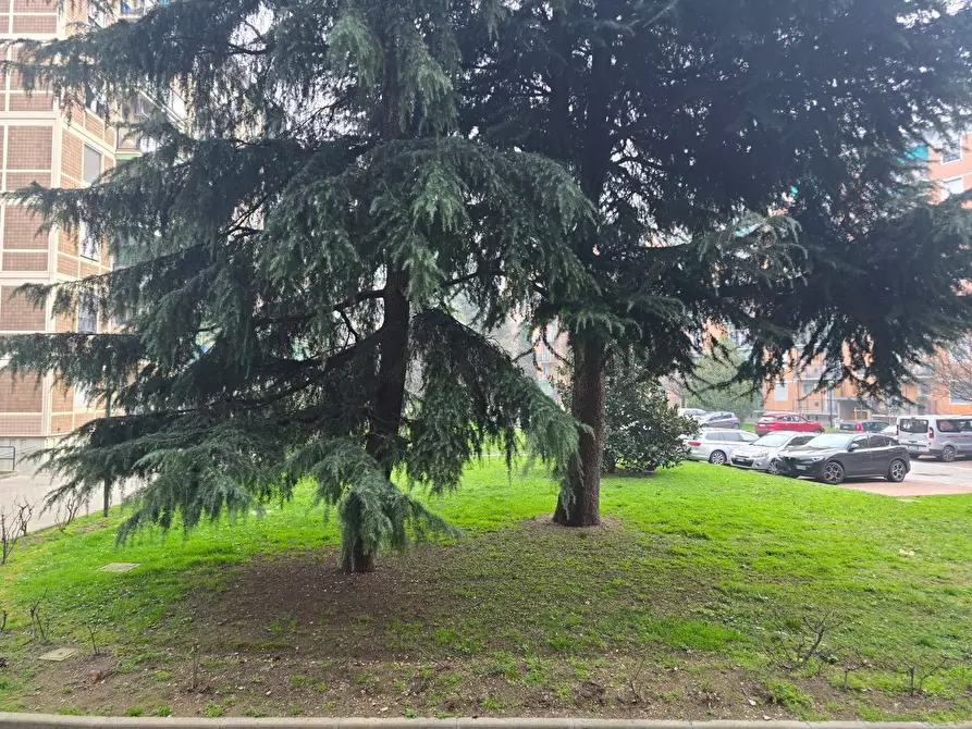 Immagine 3 di Appartamento in affitto  in Via Degli Abeti 15 a Milano