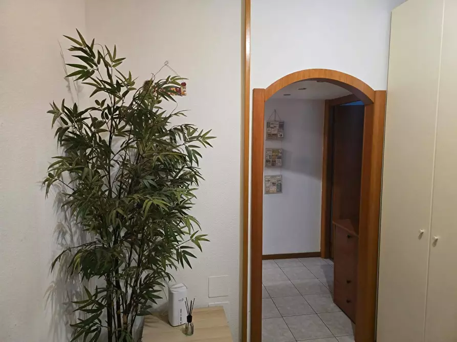 Immagine 14 di Camera in affitto  in Via Degli Abeti 15 a Milano