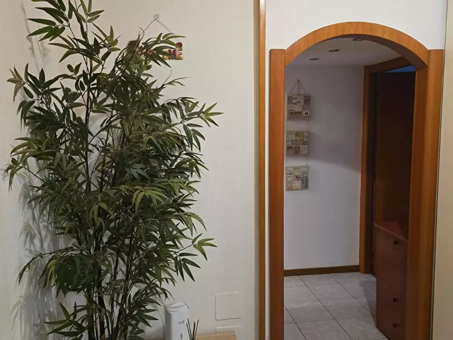 Immagine 31 di Camera in affitto  in Via Degli Abeti 15 a Milano