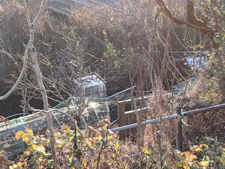 Immagine 5 di Terreno agricolo in vendita  in VIA MUGGIANO SNC a Milano