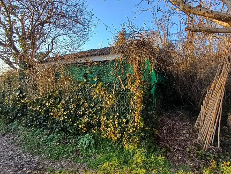 Immagine 6 di Terreno agricolo in vendita  in VIA MUGGIANO SNC a Milano