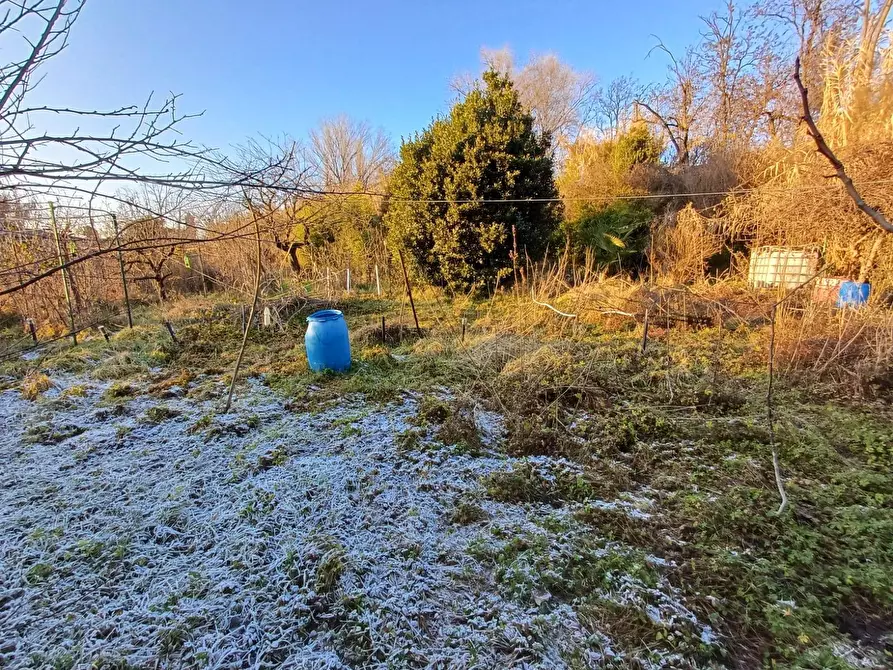 Immagine 9 di Terreno agricolo in vendita  in VIA MUGGIANO SNC a Milano