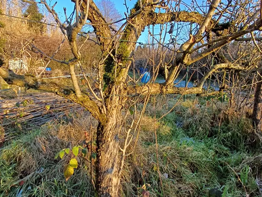 Immagine 12 di Terreno agricolo in vendita  in VIA MUGGIANO SNC a Milano