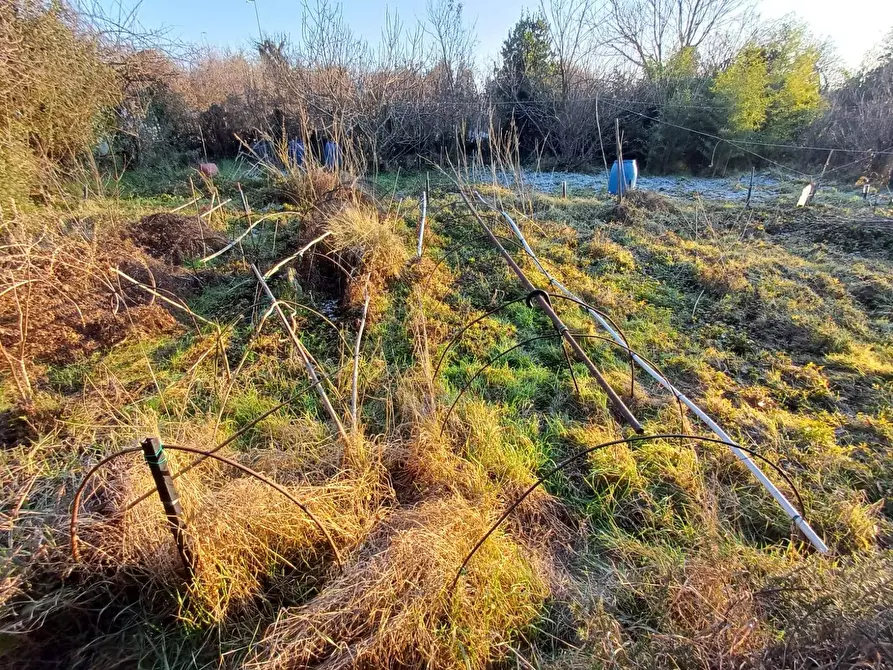 Immagine 3 di Terreno agricolo in vendita  in VIA MUGGIANO SNC a Milano
