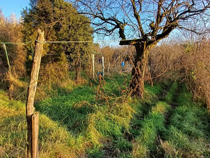 Immagine 16 di Terreno agricolo in vendita  in VIA MUGGIANO SNC a Milano