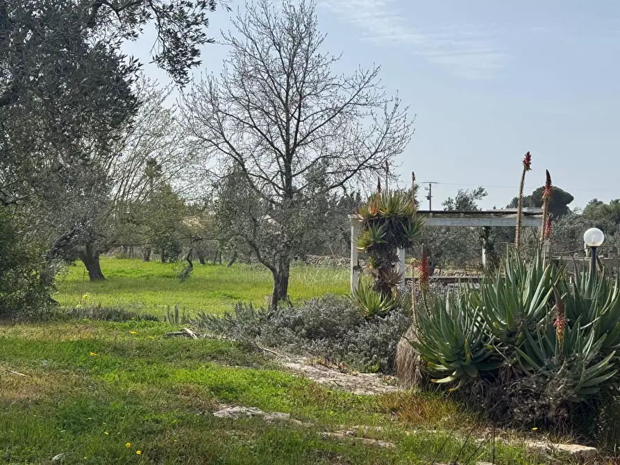 Immagine 8 di Appartamento in vendita  in via Gallipoli a Galatone