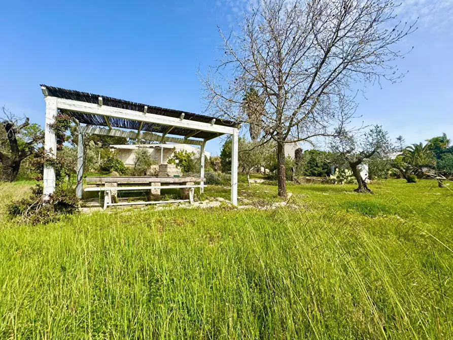 Immagine 38 di Casa indipendente in vendita  in via Gallipoli a Galatone