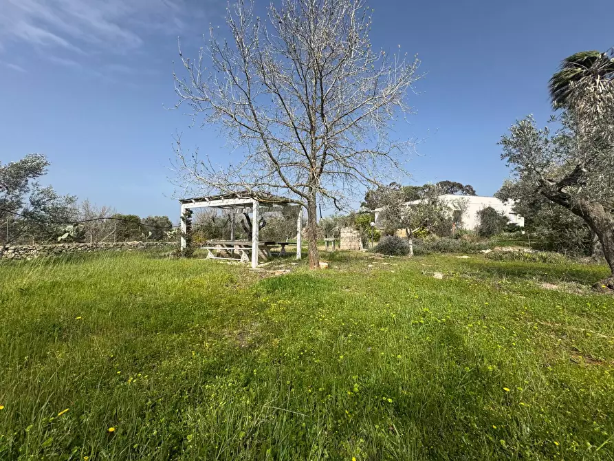Immagine 48 di Casa indipendente in vendita  in via Gallipoli a Galatone