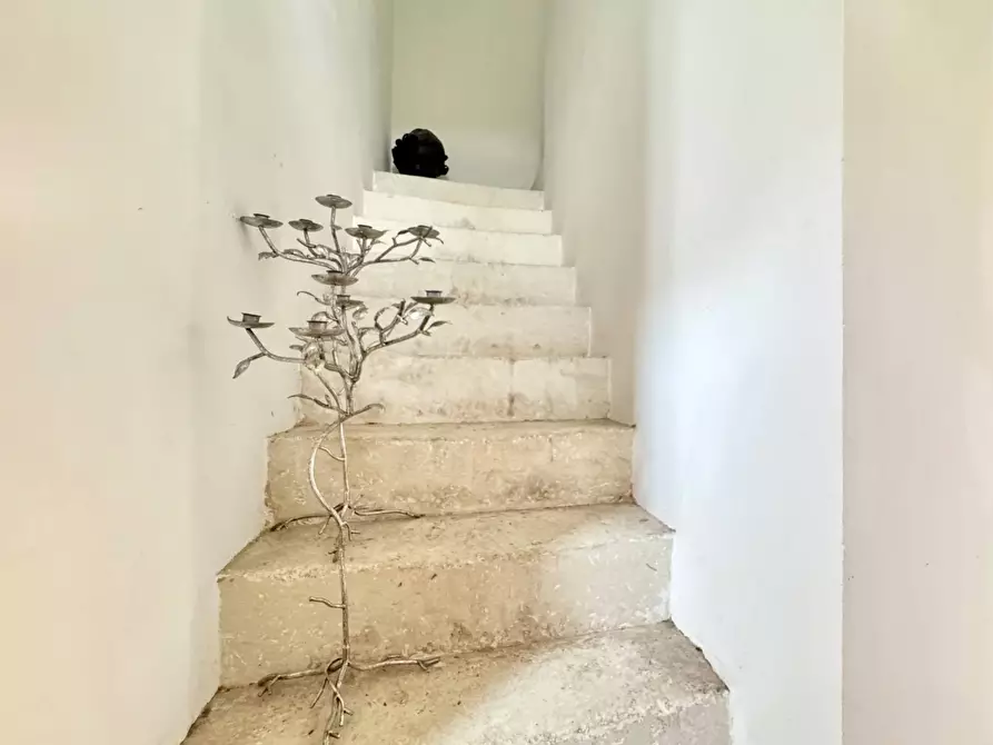 Immagine 9 di Rustico / casale in vendita  in Strada Comunale San Cesario - Caprarica a Bagnolo Del Salento