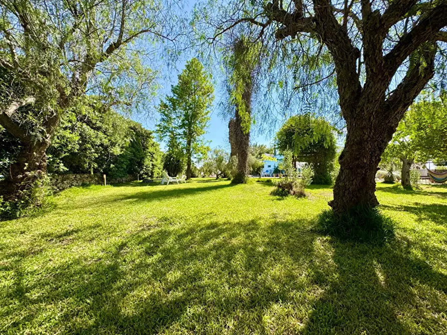 Immagine 4 di Villa in vendita  in via Gallipoli a Galatone