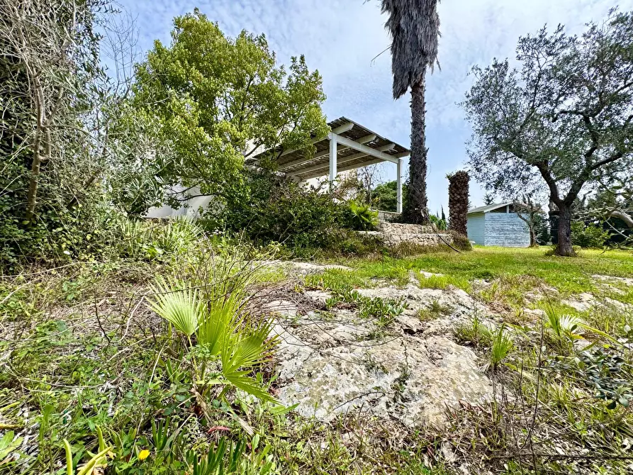 Immagine 35 di Casa indipendente in vendita  in via Gallipoli a Galatone