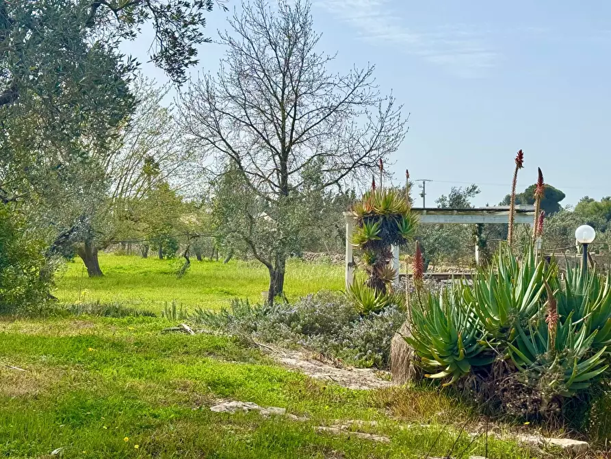 Immagine 2 di Casa indipendente in vendita  in via Gallipoli a Galatone