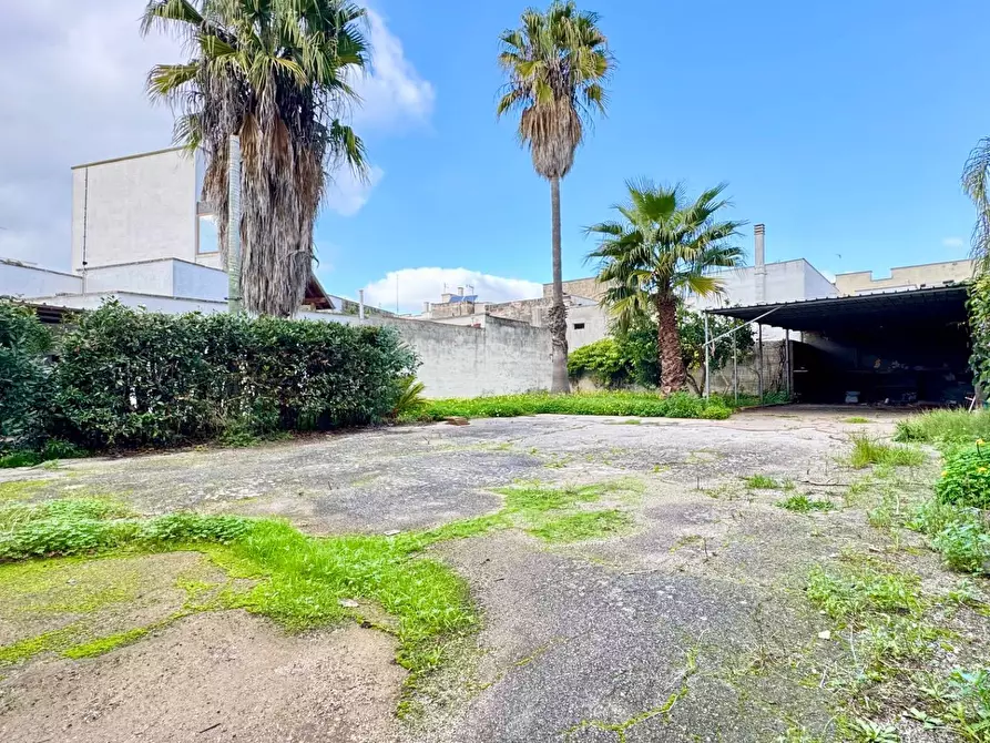 Immagine 4 di Casa indipendente in vendita  in via Spani 75 a Veglie