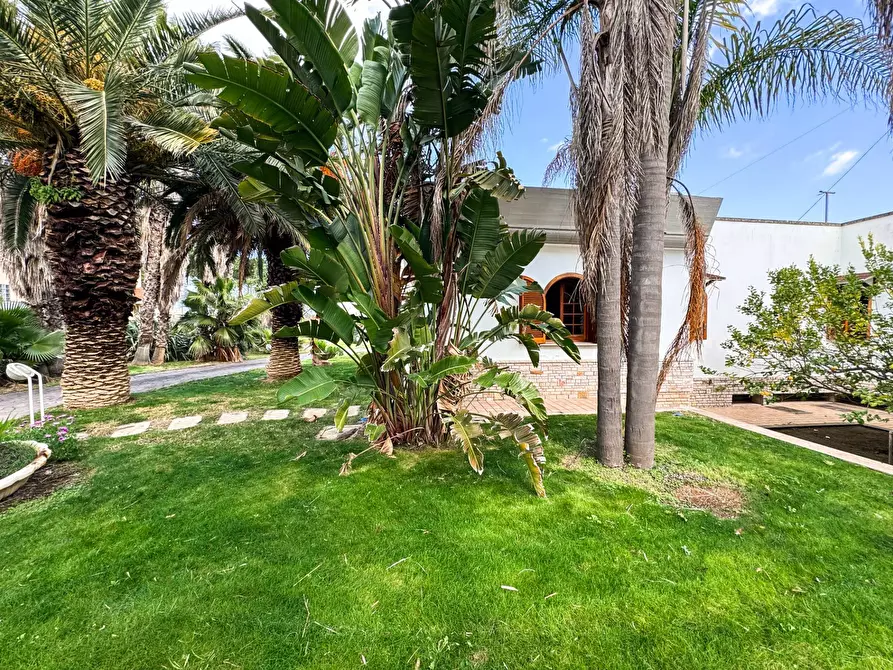 Immagine 3 di Villa in vendita  in via calore 3 a Lecce