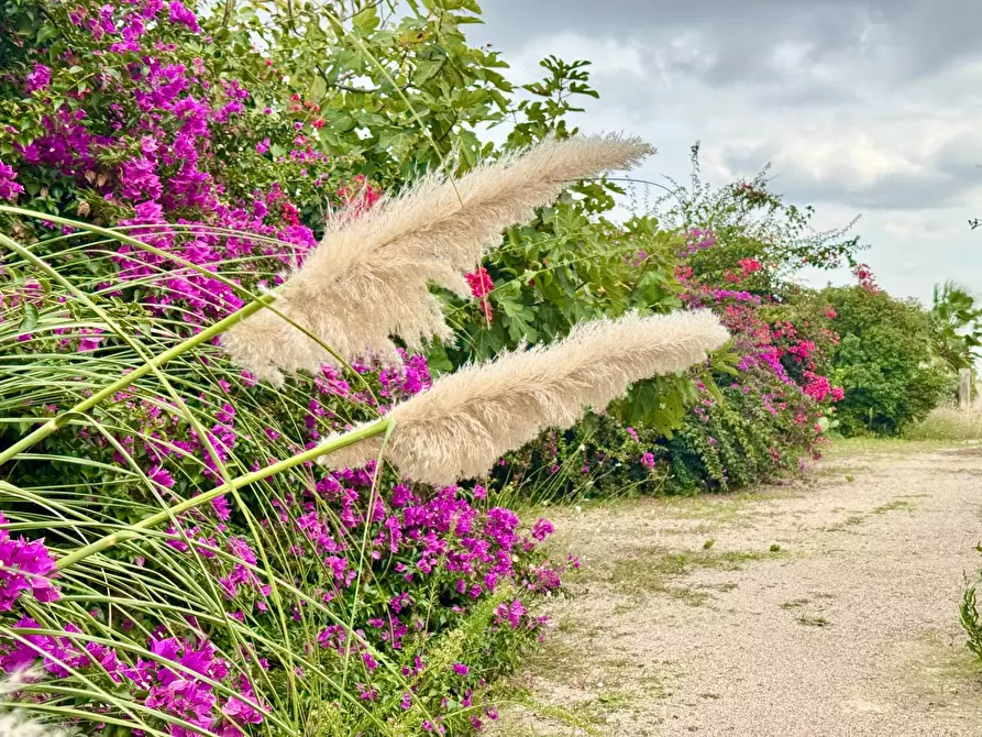 Immagine 23 di Rustico / casale in vendita  in Strada Comunale San Cesario - Caprarica a Bagnolo Del Salento