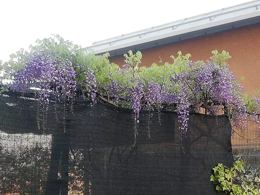 Immagine 2 di Appartamento in vendita  in via Pannunzio a Milano
