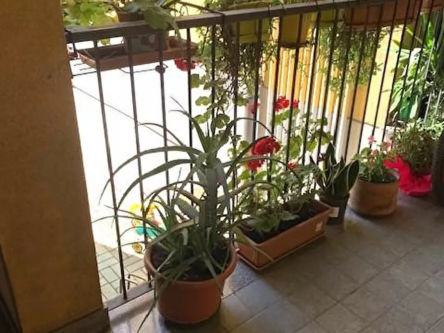Immagine 21 di Appartamento in vendita  in via Volta 49 a Rho