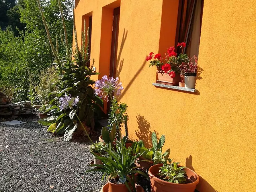 Immagine 10 di Villa in vendita  in via Aurelia 22 a Carrodano