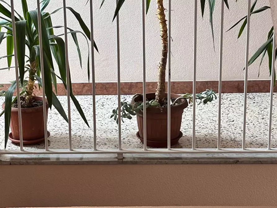 Immagine 17 di Appartamento in vendita  in via Delfico a Milano