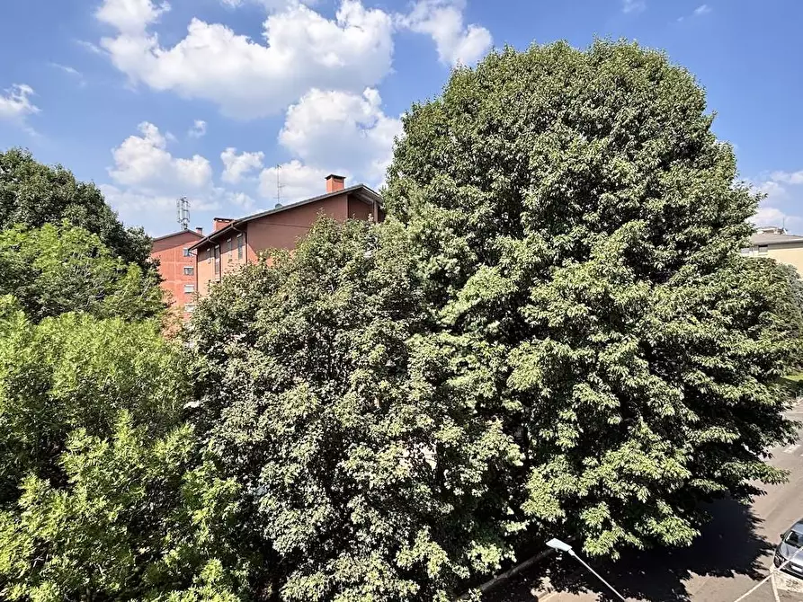 Immagine 17 di Appartamento in vendita  in via Fiume a Saronno