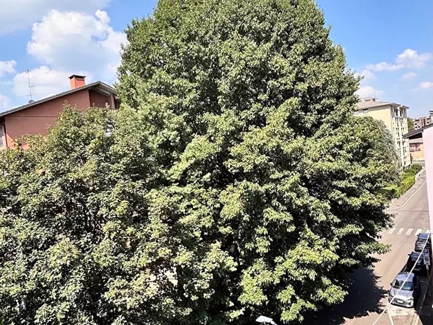 Immagine 30 di Appartamento in vendita  in via Fiume a Saronno