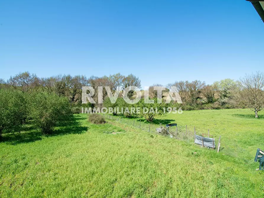 Immagine 13 di Villa in vendita  in via dell'asinara a Rignano Flaminio