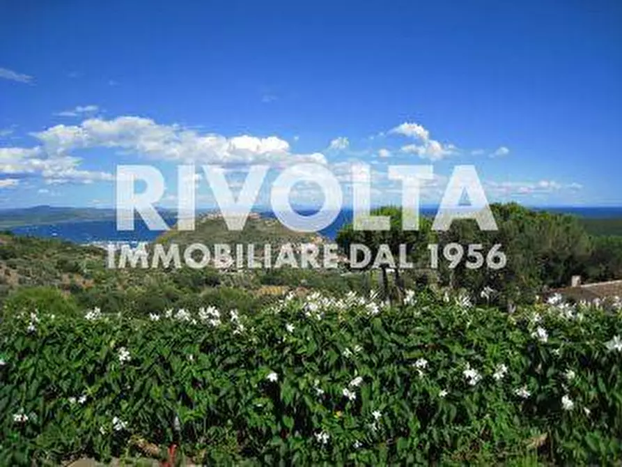 Immagine 13 di Villa in affitto  in strada mandrioli a Monte Argentario