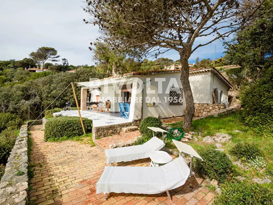 Immagine 2 di Villa in affitto  in via torre san biagio a Orbetello