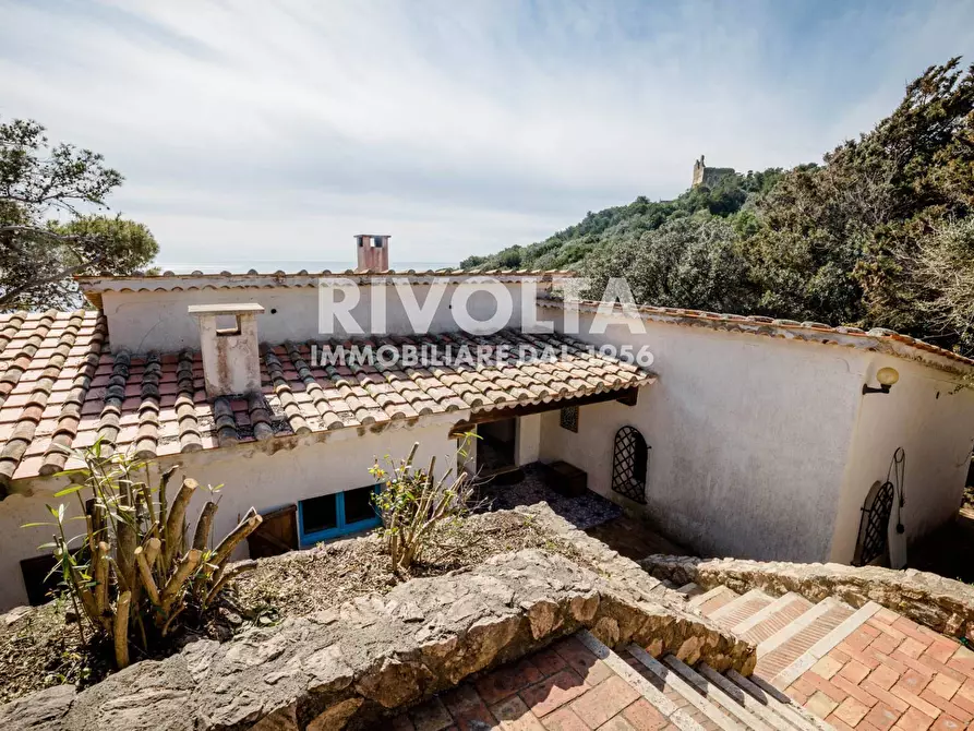 Immagine 21 di Villa in affitto  in via torre san biagio a Orbetello