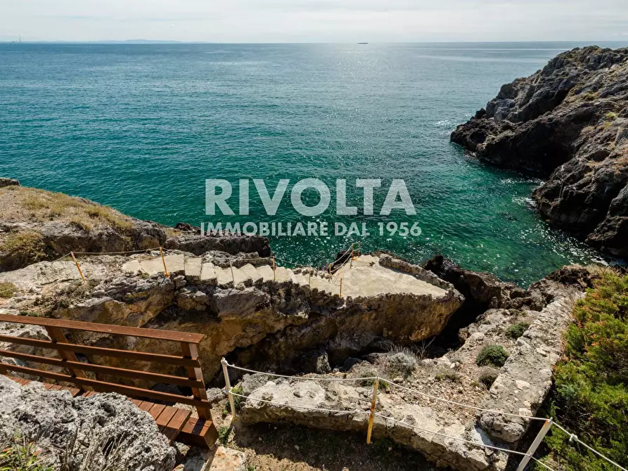 Immagine 23 di Villa in affitto  in via torre san biagio a Orbetello