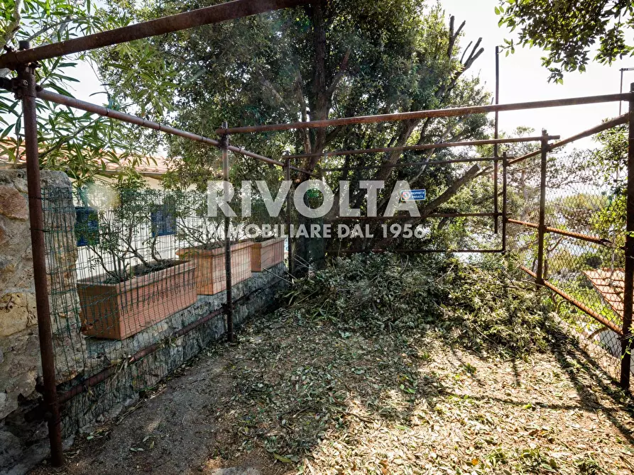 Immagine 28 di Villa in affitto  in via torre san biagio a Orbetello