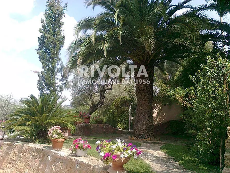 Immagine 13 di Villa in affitto  in via Forte Stella a Monte Argentario