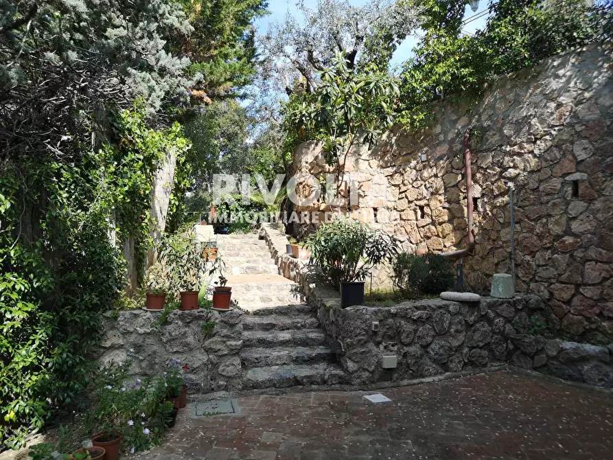Immagine 6 di Villa in affitto  in via Forte Stella a Monte Argentario