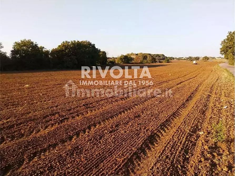 Immagine 1 di Terreno agricolo in vendita  in Via Della Storta a Roma