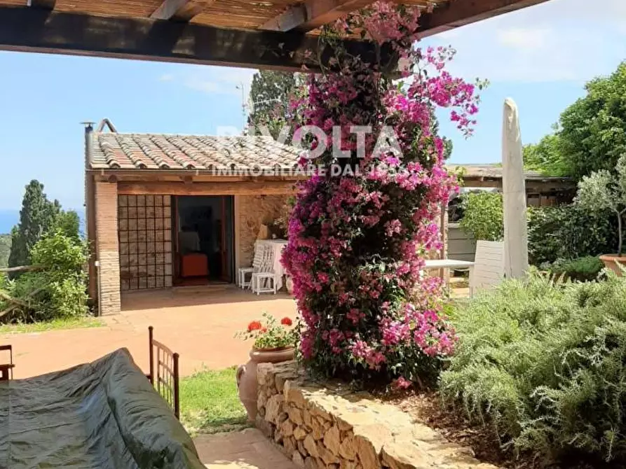 Immagine 46 di Villa in affitto  in località spaccamontagne a Monte Argentario