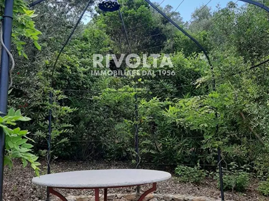 Immagine 50 di Villa in affitto  in località spaccamontagne a Monte Argentario