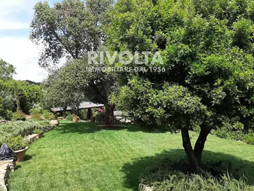 Immagine 52 di Villa in affitto  in località spaccamontagne a Monte Argentario