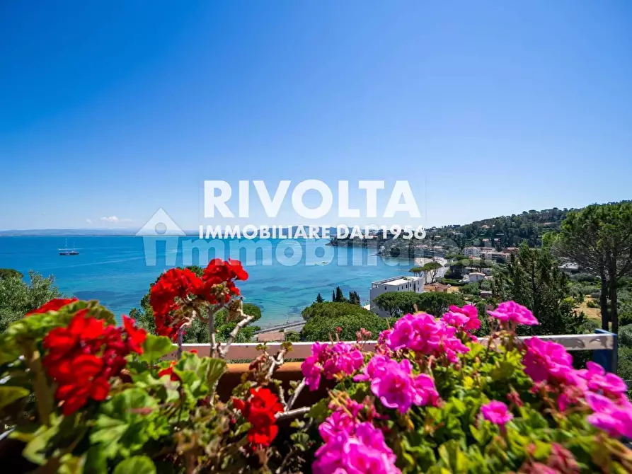 Immagine 2 di Appartamento in affitto  a Monte Argentario