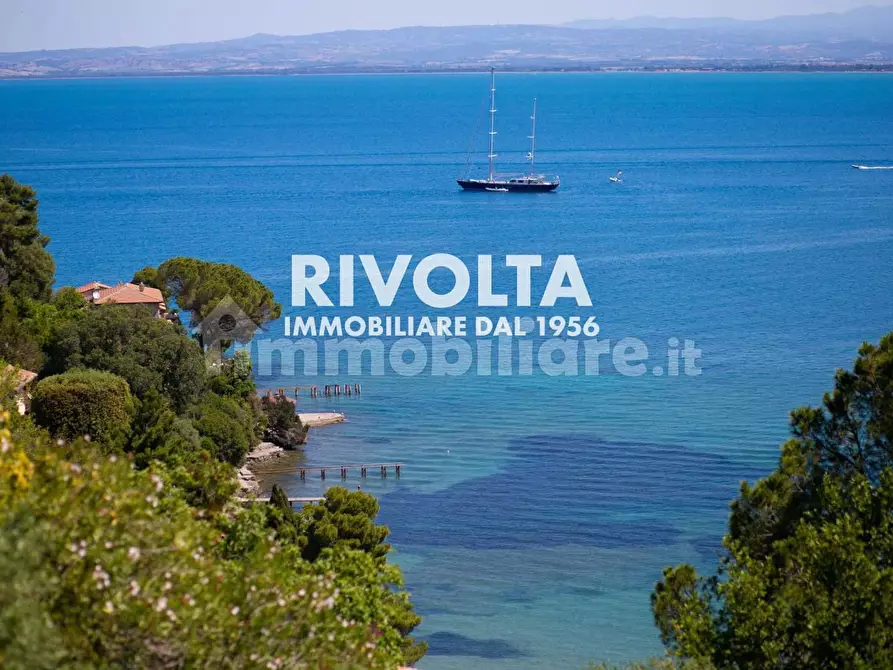 Immagine 22 di Appartamento in affitto  a Monte Argentario