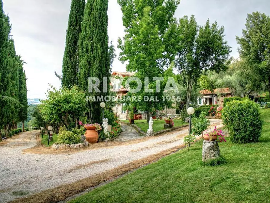 Immagine 17 di Villa in vendita  in località terme di Saturnia a Manciano