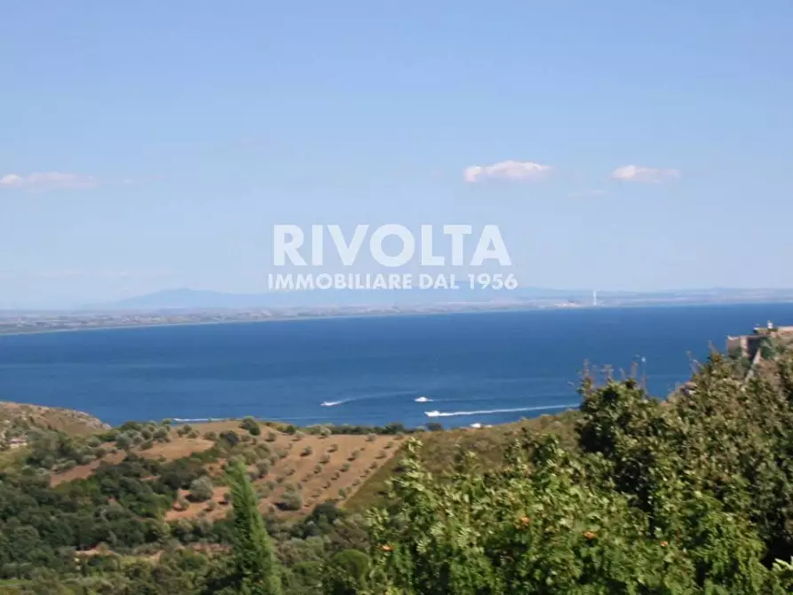 Immagine 2 di Villa in affitto  in Via dei Molini a Monte Argentario