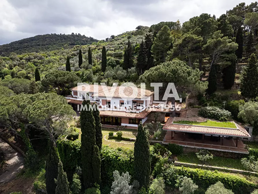 Immagine 3 di Villa in affitto  in Via del Fortino a Monte Argentario