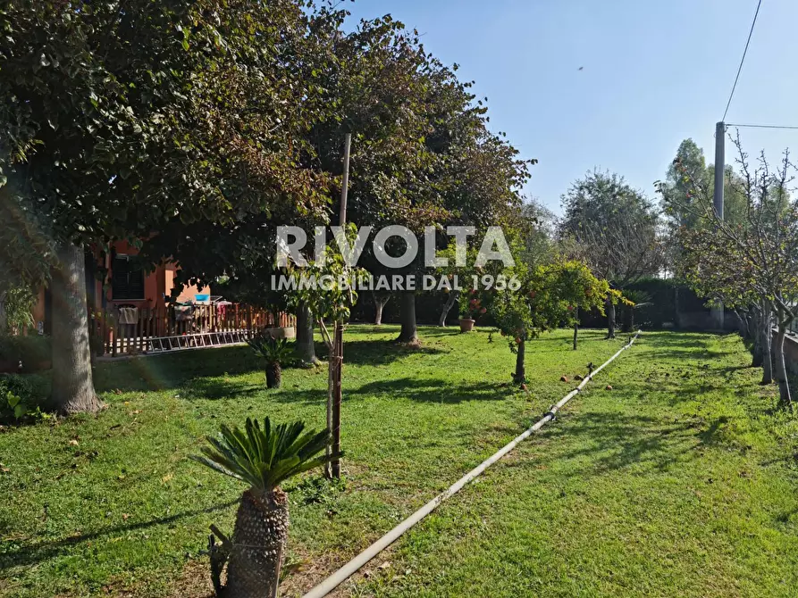 Immagine 5 di Villa in vendita  in strada formicosa a Sabaudia