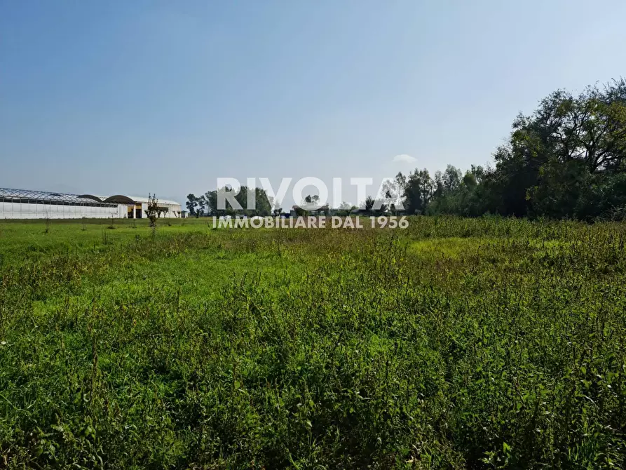 Immagine 7 di Villa in vendita  in strada formicosa a Sabaudia