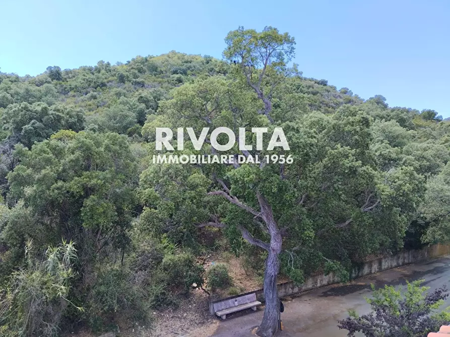 Immagine 4 di Attico in affitto  in Via delle Buche a Monte Argentario