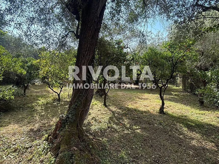 Immagine 16 di Villa in vendita  in via Flacca a Sperlonga