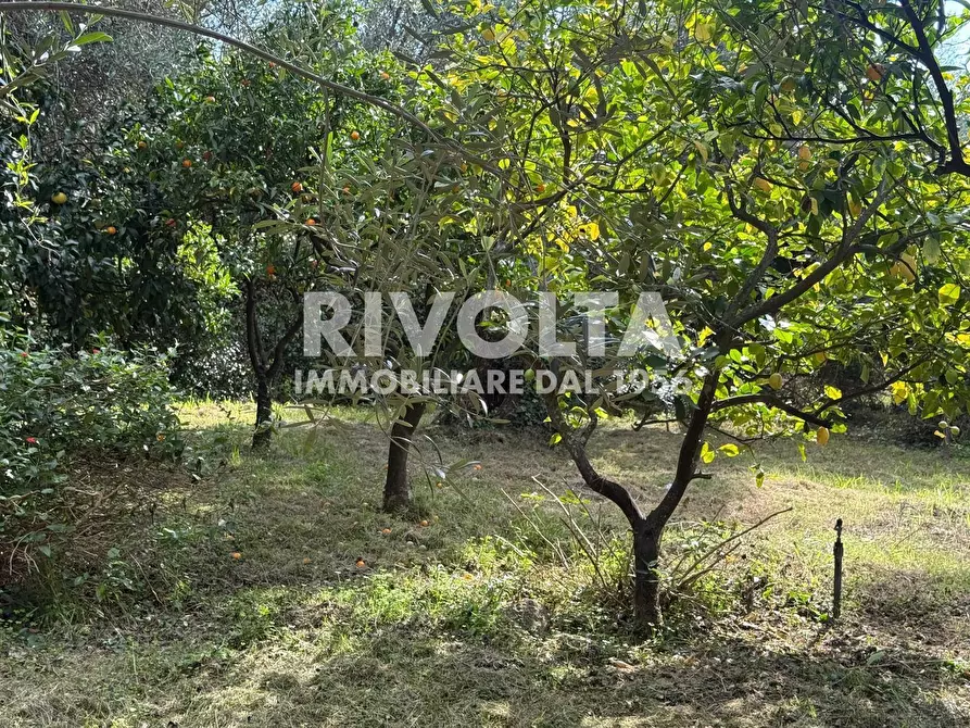 Immagine 18 di Villa in vendita  in via Flacca a Sperlonga