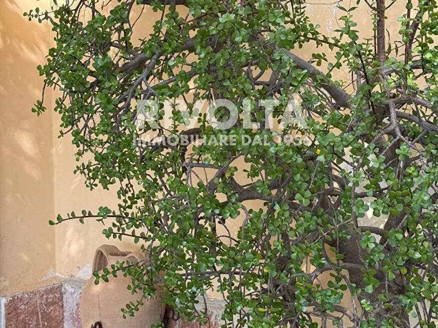 Immagine 27 di Villa in vendita  in via Flacca a Sperlonga